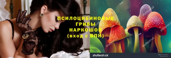 шишки Лихославль