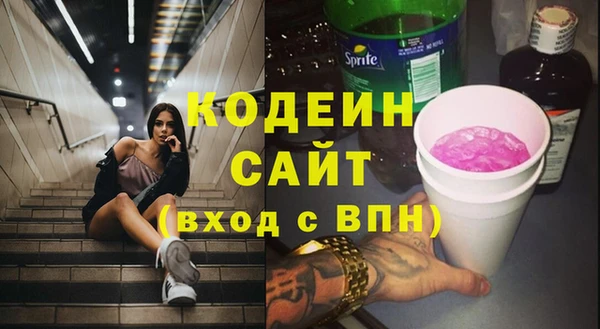 молекула духа Лабытнанги
