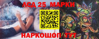 крисы Гатчина
