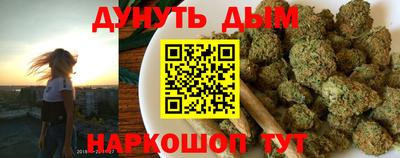 крисы Гатчина