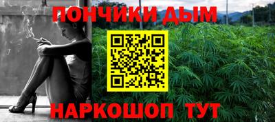крисы Гатчина