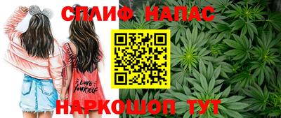 метадон Гай