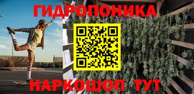 крисы Гатчина