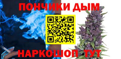 крисы Гатчина