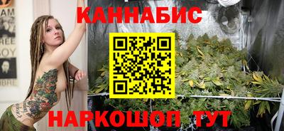 крисы Гатчина