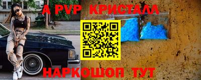 крисы Гатчина