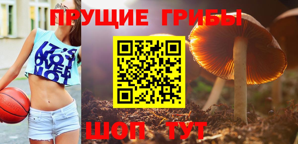 Костомукша  Галлюциногенные грибы Psilocybine cubensis  Вход с VPN 