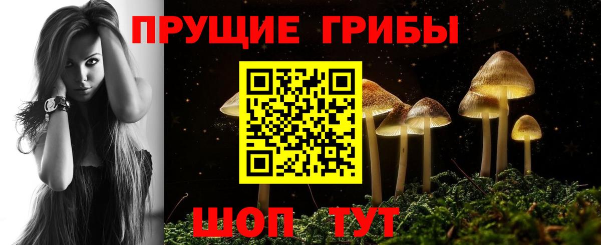 Псилоцибиновые грибы прущие грибы Костомукша